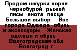 Продам шкурки норки, чернобурой, рыжей лисы, енота, песца. Большой выбор. - Все города Одежда, обувь и аксессуары » Женская одежда и обувь   . Волгоградская обл.,Волгоград г.